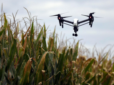 Taking Farming To New Heights: The Rise Of Agricultural Drones In Auburn, Alabama