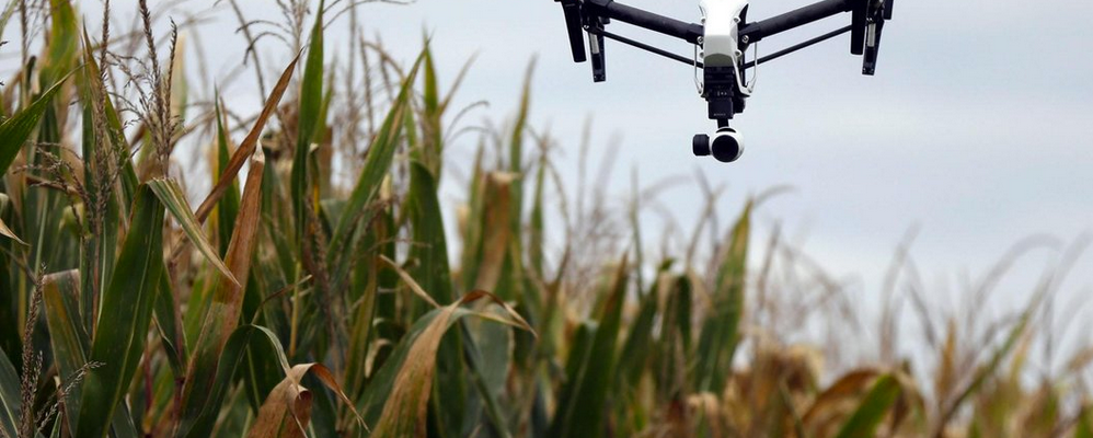 Taking Farming To New Heights: The Rise Of Agricultural Drones In Auburn, Alabama